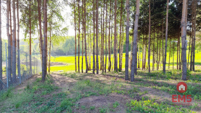 Działka z widokiem Krynice - Krynice  -
Podlaskie Zdjęcie nr 3
