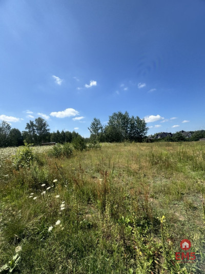 Działka W Halickie - Halickie  -
Podlaskie Zdjęcie nr 3