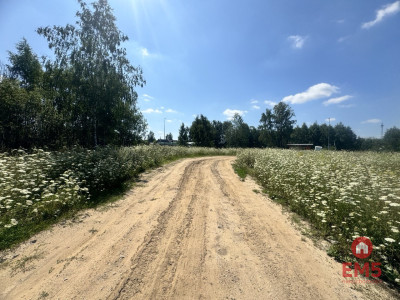 Działka W Halickie - Halickie  -
Podlaskie Zdjęcie nr 4