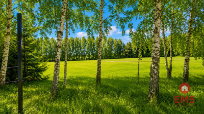 Działka budowlana 1125 m2 Dobrzyniewo - Gniła  -
Podlaskie Zdjęcie nr 4