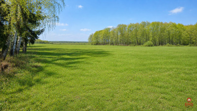 Działka budowlana 2160 m2 Nowosiółki - Nowosiółki  -
Podlaskie Zdjęcie nr 3