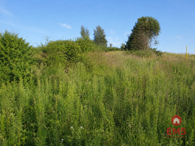 Działka budowlana 1530m2 z WZ - Mława  -
Mazowieckie Zdjęcie nr 5