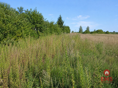 Działka budowlana 1530m2 z WZ - Mława  -
Mazowieckie Zdjęcie nr 6