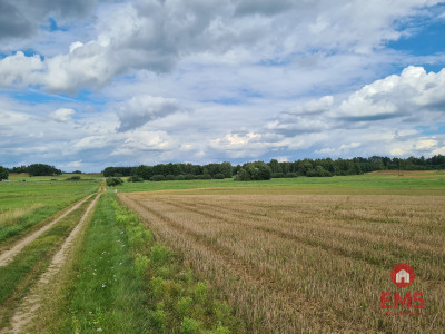 Działka w otulinie Puszczy Knyszyńskiej z WZ - Burczak  - Podlaskie