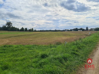 Działka w otulinie Puszczy Knyszyńskiej z WZ - Burczak  -
Podlaskie Zdjęcie nr 2