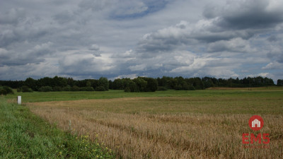 Działka w otulinie Puszczy Knyszyńskiej z WZ - Burczak  -
Podlaskie Zdjęcie nr 4