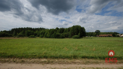 Działka w otulinie Puszczy Knyszyńskiej z WZ - Burczak  -
Podlaskie Zdjęcie nr 5