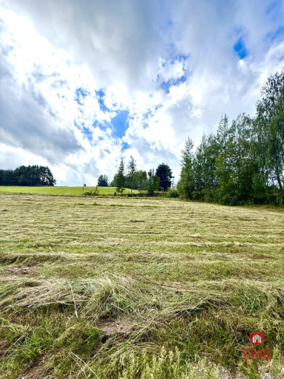 DZIAŁKA Z WYDANYMI WARUNKAMI ZABUDOWY  PRZEJMA WY - Przejma Wysoka  -
Podlaskie Zdjęcie nr 2