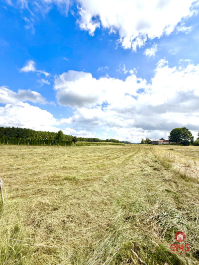 DZIAŁKA Z WYDANYMI WARUNKAMI ZABUDOWY  PRZEJMA WY - Przejma Wysoka  -
Podlaskie Zdjęcie nr 3