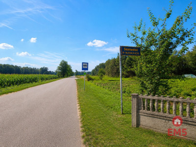 Siedlisko z domem i zabudowaniami I Działka 4500m - Siemiwołoki  -
Podlaskie Zdjęcie nr 10