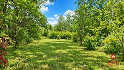 Działka budowlana 1330 m2 - Zagórki  -
Podlaskie Zdjęcie nr 6