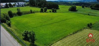 ATRAKCYJNA DZIAŁKA 8 964 m  GULBIENISZKI - Sidory  -
Podlaskie Zdjęcie nr 3