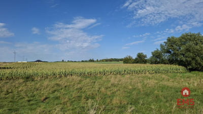 Działka inwestycyjna przy S8 - Choroszcz  -
Podlaskie Zdjęcie nr 4