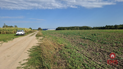 Działka inwestycyjna przy S8 - Choroszcz  -
Podlaskie Zdjęcie nr 5
