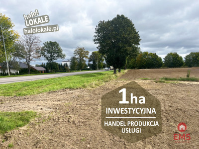 Działka inwestycyjna przy drodze - Fasty  - Podlaskie