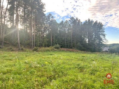 Działka z warunkami zabudowy pod lasem - Karakule  -
Podlaskie Zdjęcie nr 3