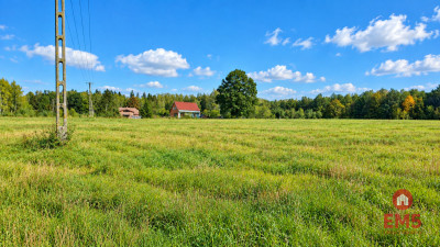 Działka pod lasem Łubianka - Łubianka  - Podlaskie