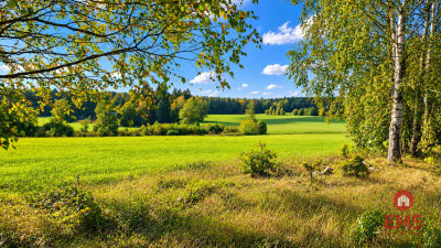 Działka pod lasem Łubianka - Łubianka  -
Podlaskie Zdjęcie nr 3