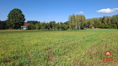 12 działek z wydanymi WZ Łubianka - Łubianka  -
Podlaskie Zdjęcie nr 10