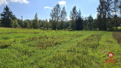 12 działek z wydanymi WZ Łubianka - Łubianka  -
Podlaskie Zdjęcie nr 3