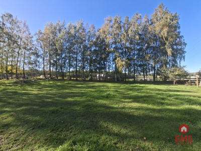 Siedlisko na Mazurach -   -
Zdjęcie nr 3