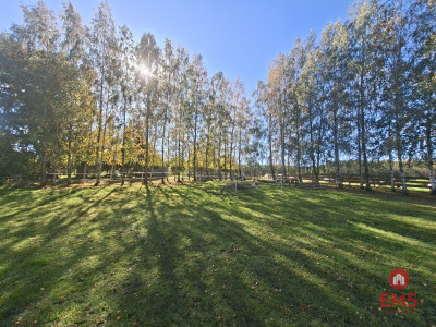 Siedlisko na Mazurach -   -
Zdjęcie nr 4