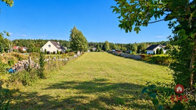 Działka budowlana 1571 m2 - Krynice  -
Podlaskie Zdjęcie nr 4