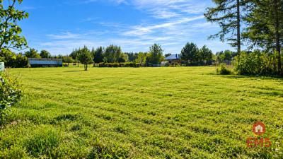 Działka budowlana 1571 m2 - Krynice  -
Podlaskie Zdjęcie nr 5