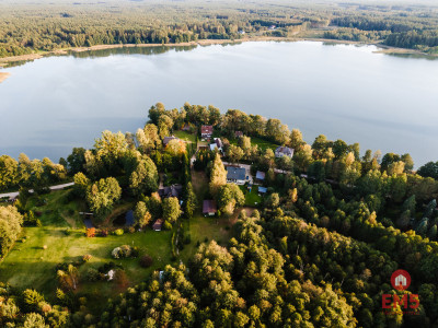 Piękna działka w Sajenku - Augustów  -
Podlaskie Zdjęcie nr 4