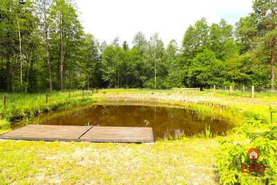Działka budowlana staw ogrodzenie - Płaska  -
Podlaskie Zdjęcie nr 4