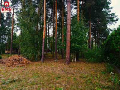 Działka budowlana w Otwocku - Otwock  -
MAZOWIECKIE Zdjęcie nr 3