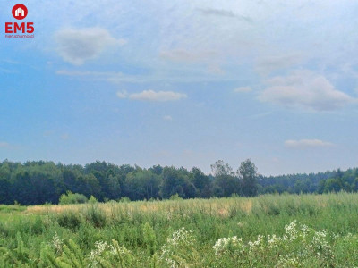 działka w pobliżu lasu - Białystok  -
podlaskie Zdjęcie nr 3