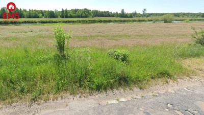 Działka rekreacyjna nad Narwią - Krzewo  -
PODLASKIE Zdjęcie nr 3