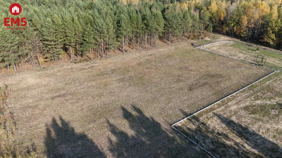Działka w Sowlanach przy lesie - Sowlany  -
PODLASKIE Zdjęcie nr 3