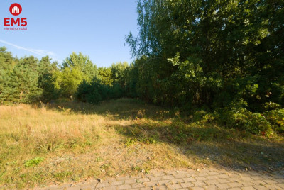 Duża działka z potencjałemKsiężyno 18500m2 - Księżyno   -
PODLASKIE Zdjęcie nr 3