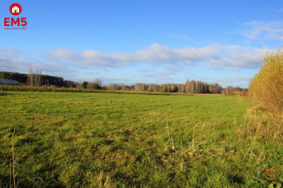 Działka na sprzedaż - Kuriany  -
PODLASKIE Zdjęcie nr 5