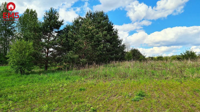 Działka rolno-budowlana 035 ha Jurowce - Jurowce  -
PODLASKIE Zdjęcie nr 7