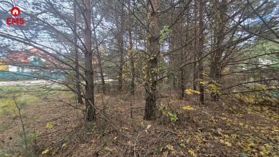 Działka w Krupnikach - Krupniki  -
Białystok Zdjęcie nr 3