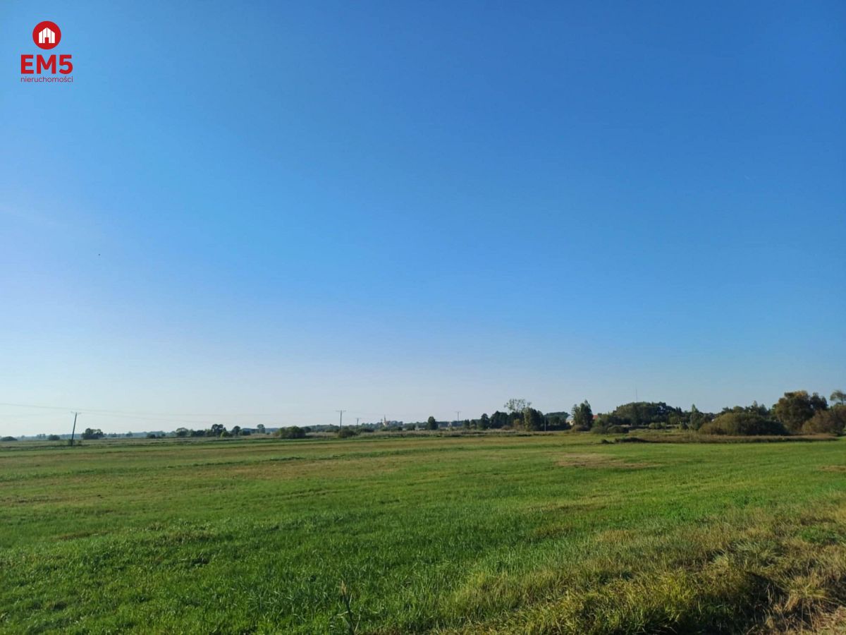 Cicha kameralna lokalizacja - Białystok  -
PODLASKIE Zdjęcie nr 1