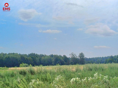 Cicha kameralna lokalizacja - Białystok  -
PODLASKIE Zdjęcie nr 2
