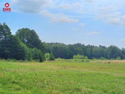 Cicha kameralna lokalizacja - Białystok  -
PODLASKIE Zdjęcie nr 3