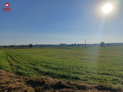 Cicha kameralna lokalizacja - Białystok  -
PODLASKIE Zdjęcie nr 5