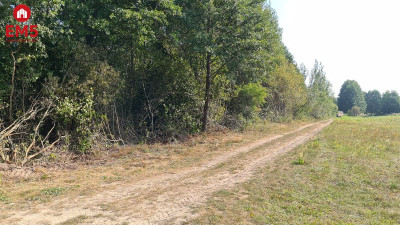 Działka budowlana 5100 m2 Ciasne - Białystok  -
PODLASKIE Zdjęcie nr 2