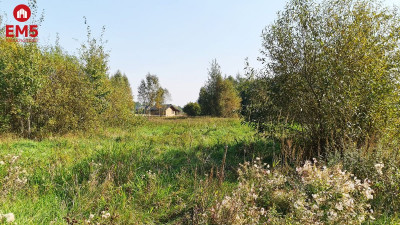 Działka budowlana 5100 m2 Ciasne - Białystok  -
PODLASKIE Zdjęcie nr 4