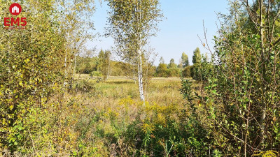 Działka budowlana 5100 m2 Ciasne - Białystok  -
PODLASKIE Zdjęcie nr 6
