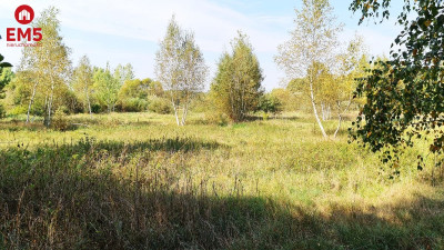 Działka budowlana 5100 m2 Ciasne - Białystok  -
PODLASKIE Zdjęcie nr 7