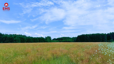 Działka budowlana w Kurianach - Kuriany  -
PODLASKIE Zdjęcie nr 2