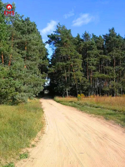 Działka budowlana w Kurianach - Kuriany  -
PODLASKIE Zdjęcie nr 4