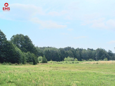 Działka Solniczki blisko Białegostoku - Solniczki  -
PODLASKIE