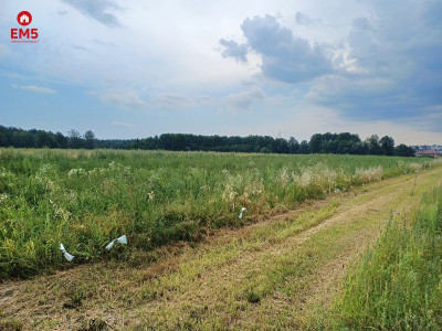 Działka Solniczki blisko Białegostoku - Solniczki  -
PODLASKIE Zdjęcie nr 5